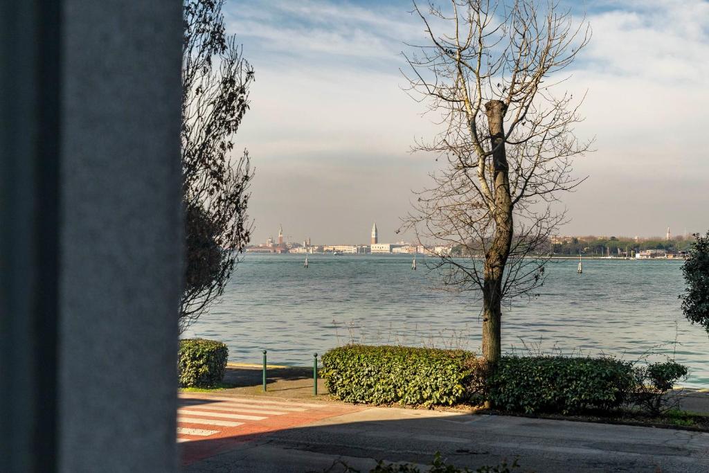 Palazzo Boito Luxury Apartment on Lido with Venice view - 3