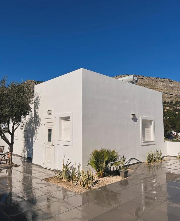 Ivy Studios, Pefki Rhodes