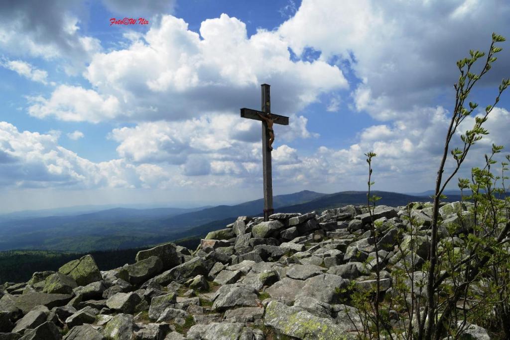 スポーツ/アクティビティ