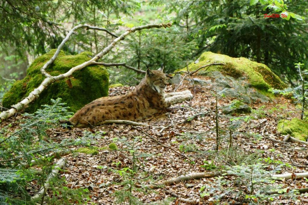 周辺観光スポット