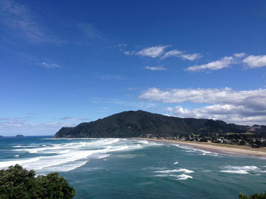 Paku Palms photo
