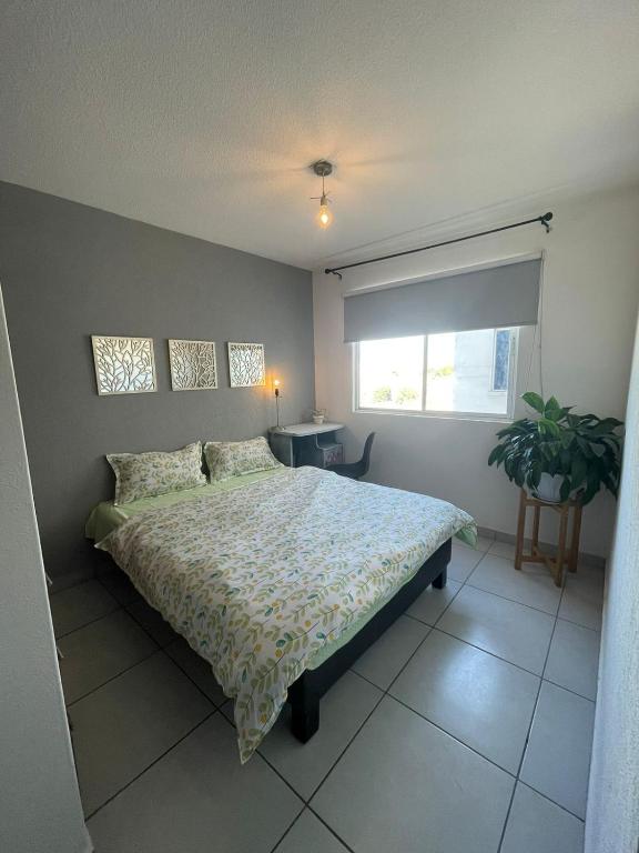 Exclusivas Habitaciones al Oriente - 5