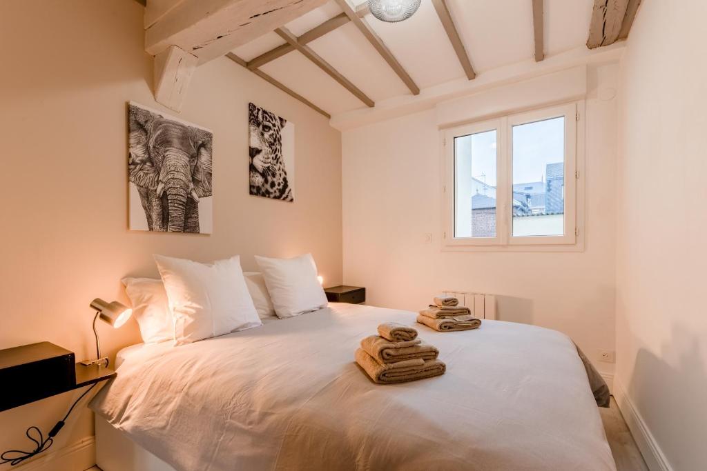 Villa Caron - Appartements haut de gamme avec chambre hyper centre - 3