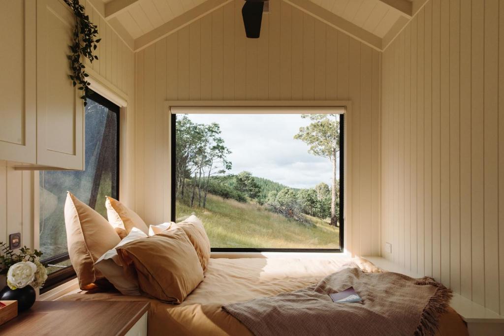 Tiny Akira, Shooters Hill