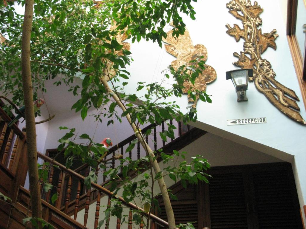 Apartamentos La Fuente photo