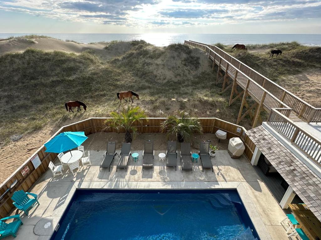 Salty Shenanigans, Knotts Island