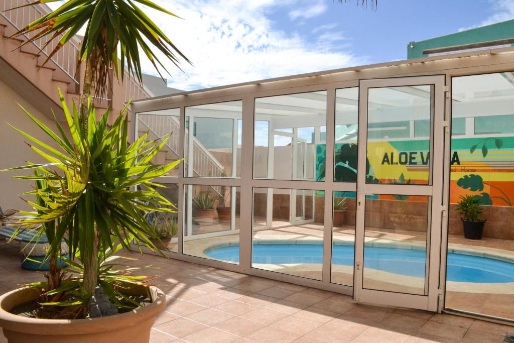Aloe Vera Shared House - 2