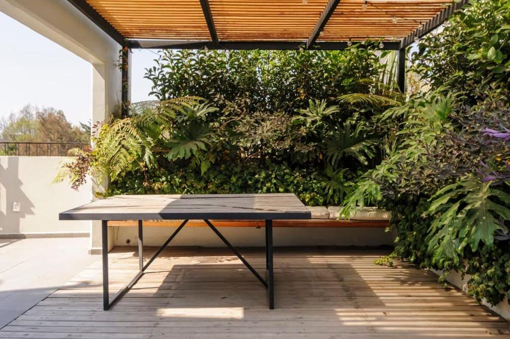Stunning penthouse with terrace in Condesa - 3