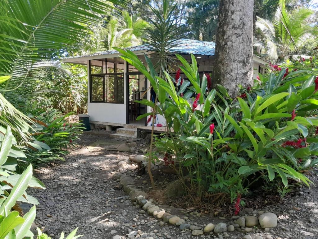 Beachfront Apartment Punta uva, Punta Uva