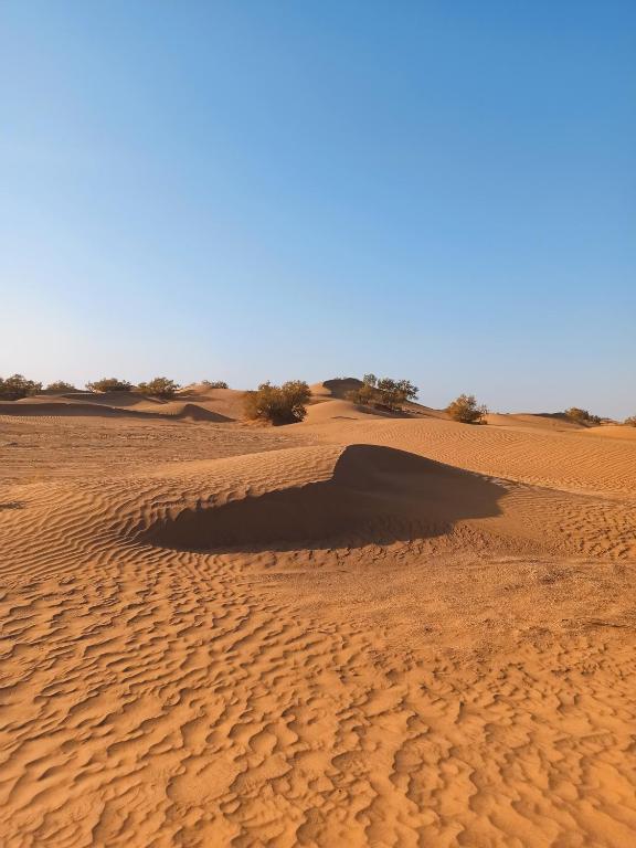 Nomadic Stay, Mhamid