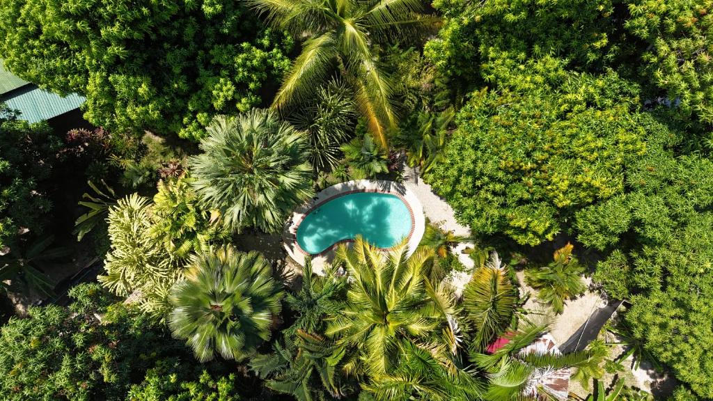 Surrounding environment, Hotel Luz de Luna in Santa Teresa