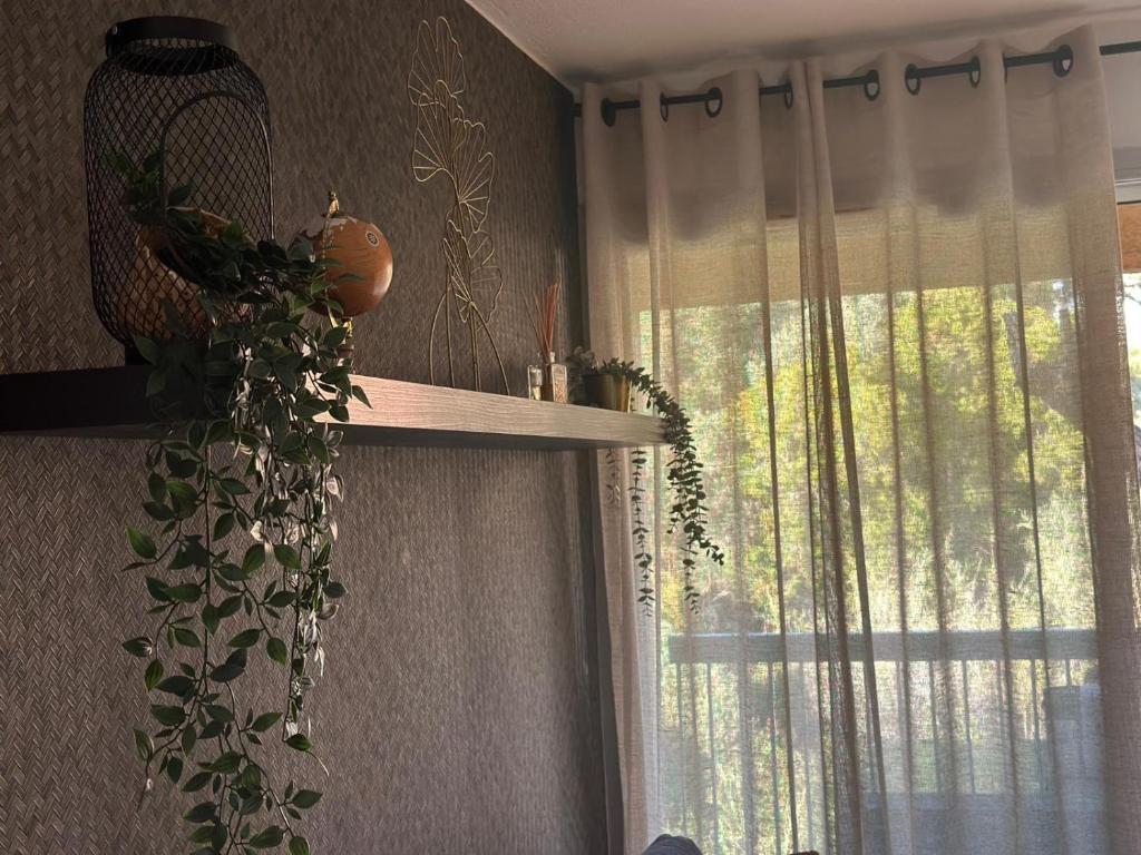 Appartement Résidence Santa Barbara avec Piscine et à 750m de la Plage - 2