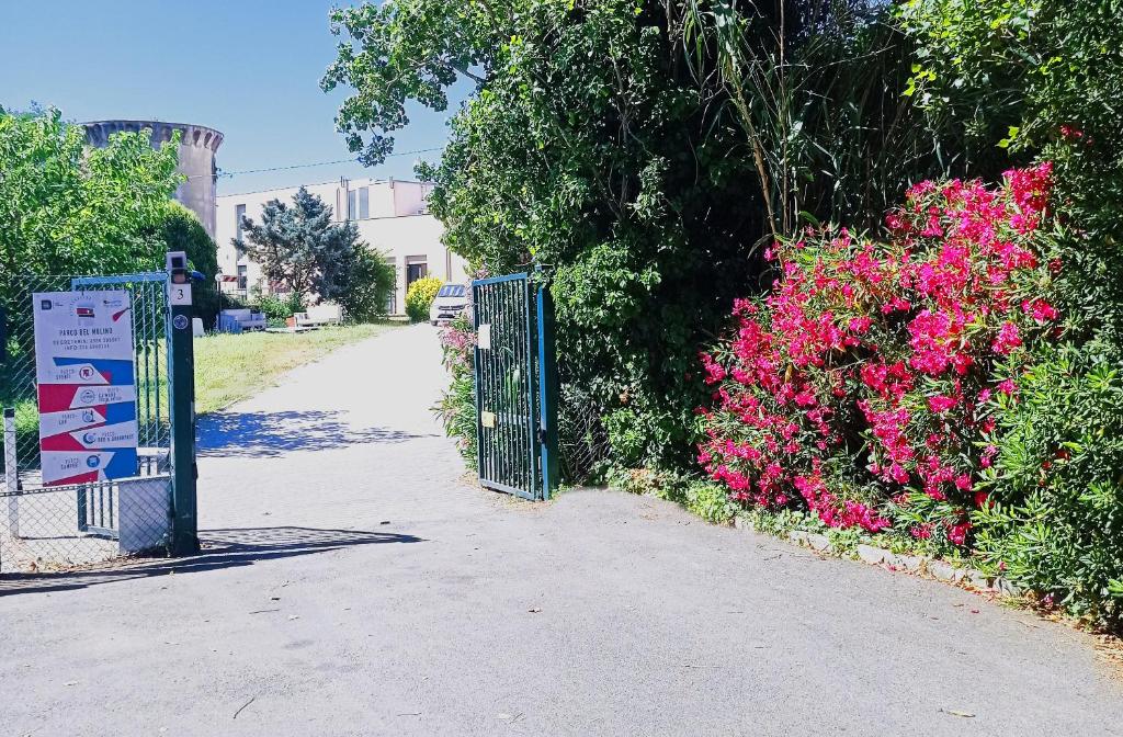 Guest House Parco del Mulino - 4