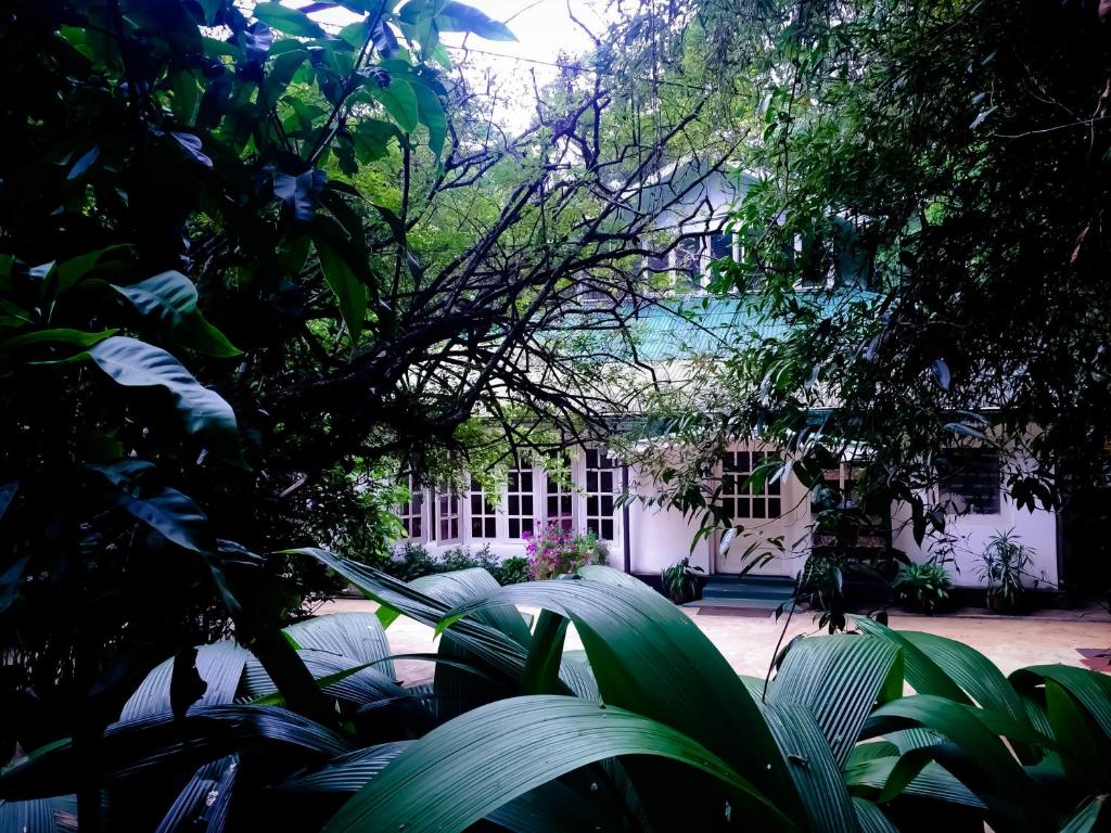 Surrey Bird Sanctuary & Holiday Resort photo