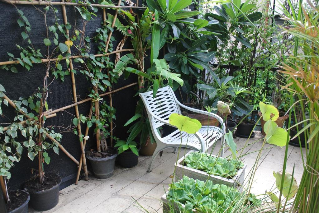 Eco House photo