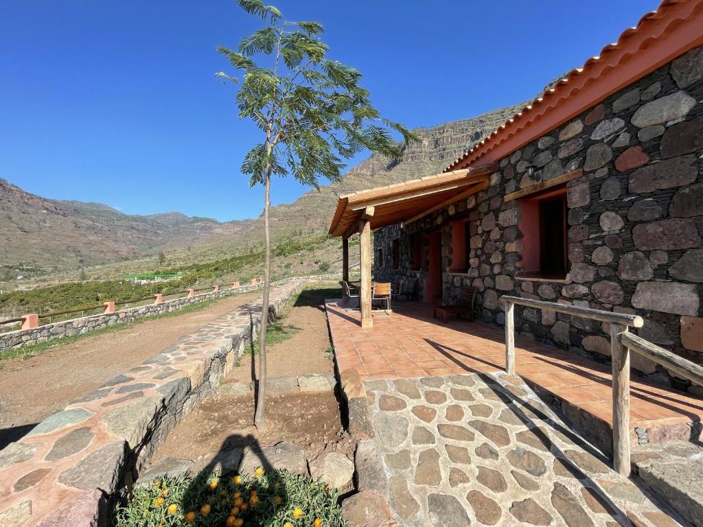 Finca Los Dioses II - 3
