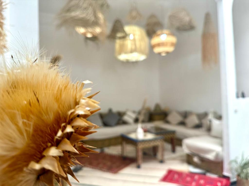 Riad DarDamia, Marrakech