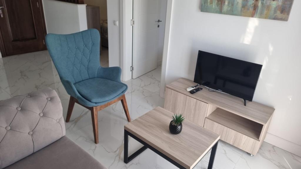 共用ラウンジ/TVエリア