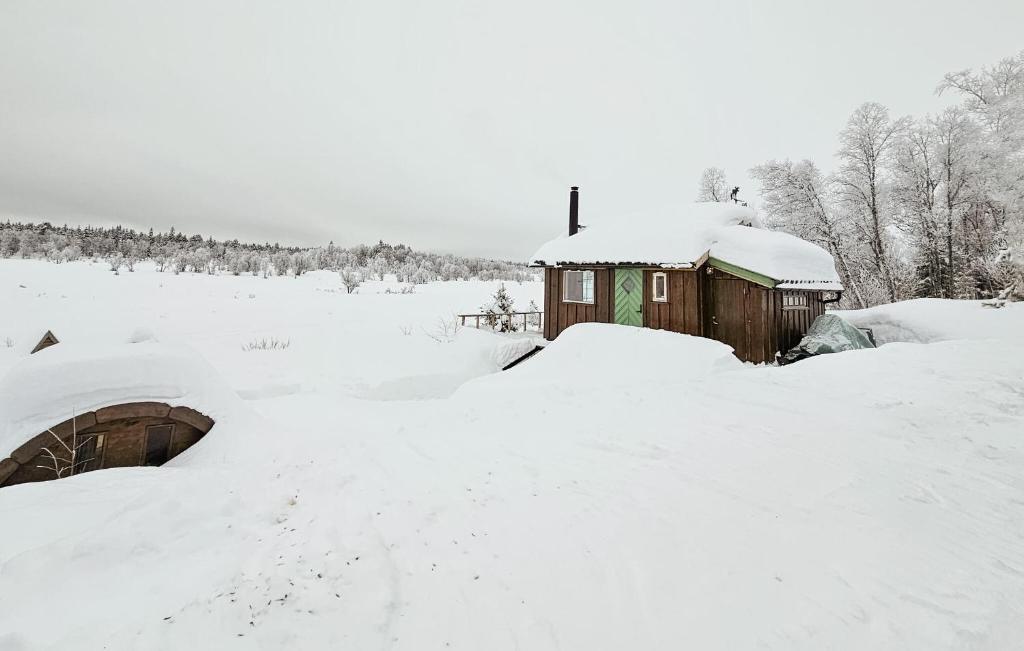 Cozy Home In Gol With Sauna