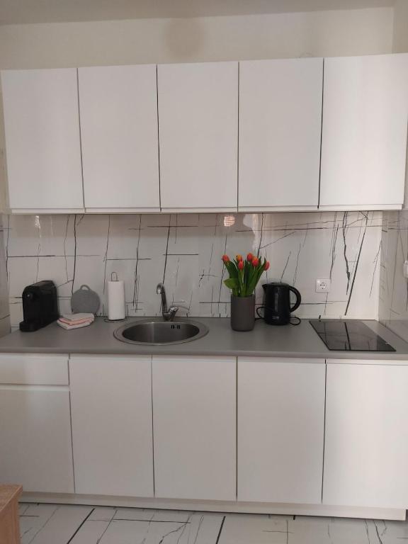 Apartman Lenka - 3