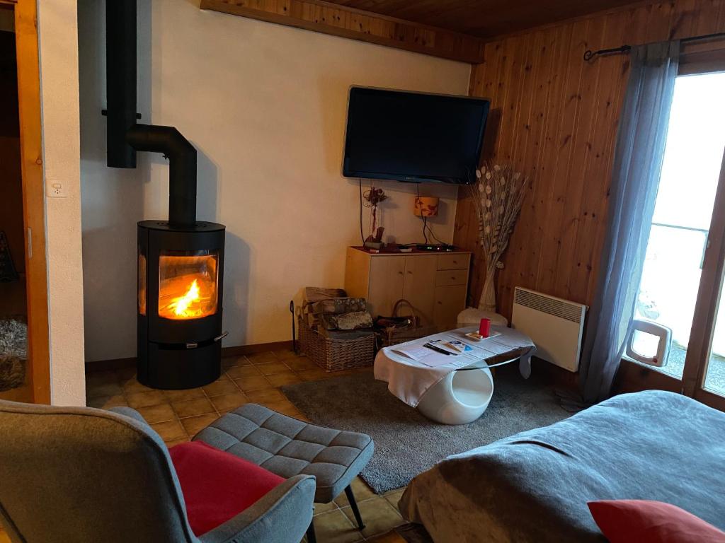 Chalet Le Petit Foyer - 4