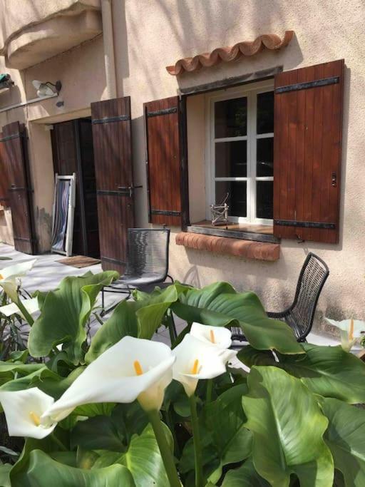 Coeur de Collioure - Parking - Rez de jardin - 5