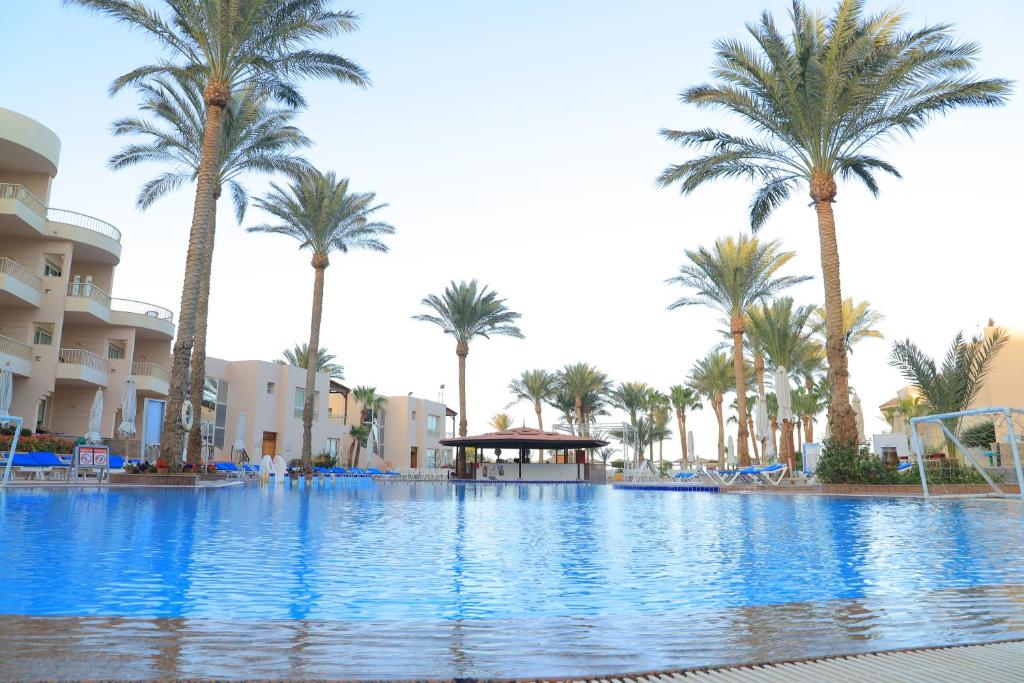 Sea Star Beau Rivage Hotel — Swimming pool in Hurghada, Red Sea