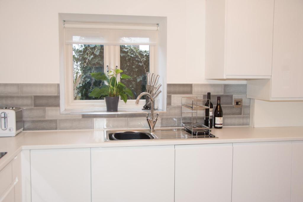 Mount Cottage, Shrewsbury photo 8