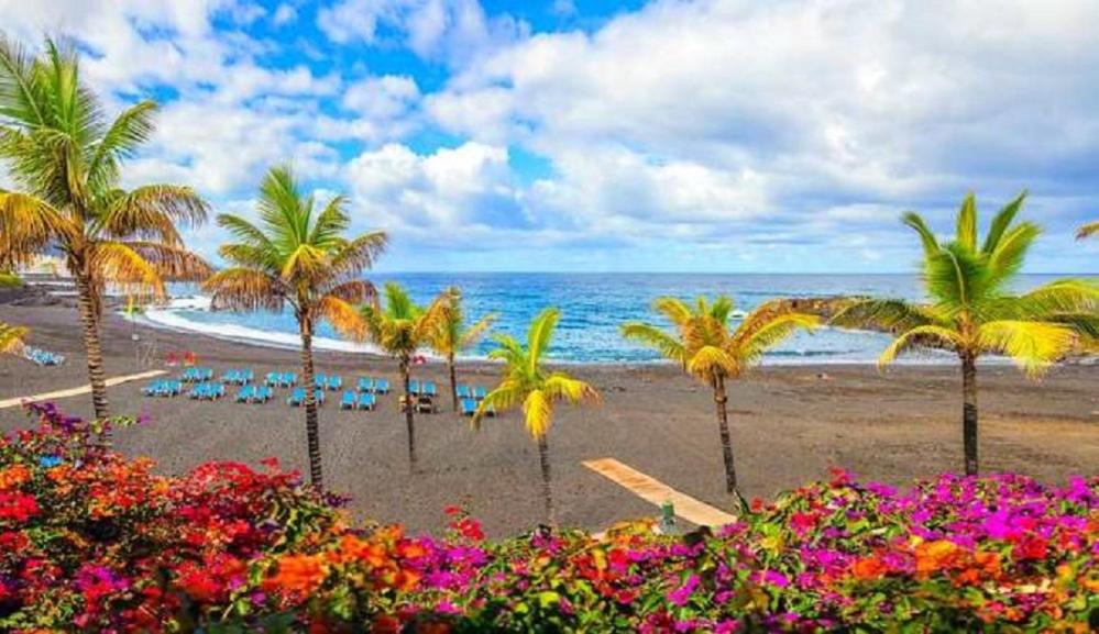Beatifull apartament Sea View in pto Cruz - 1