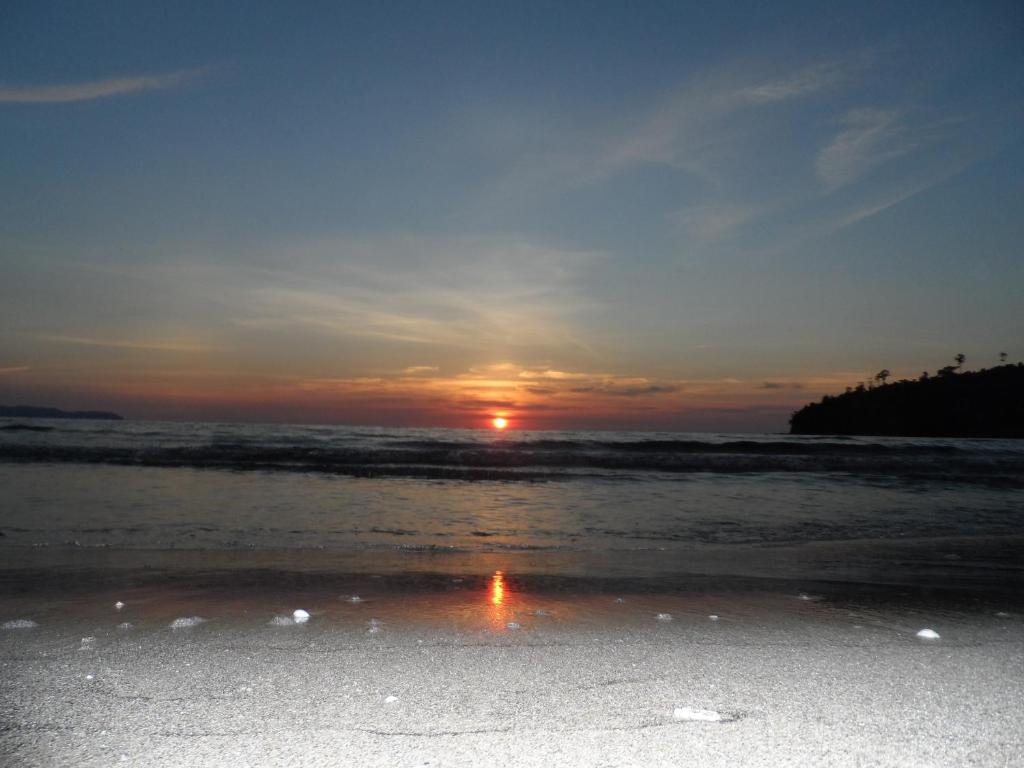 アクティビティ