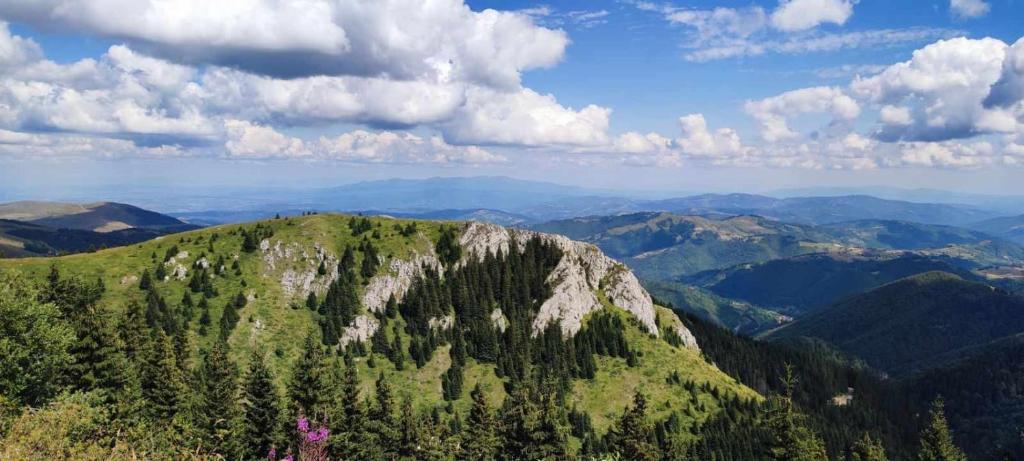 Apartman N Lux 100 Milmari resort - 5