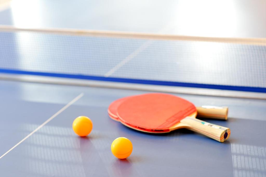 Sport és szabadidő