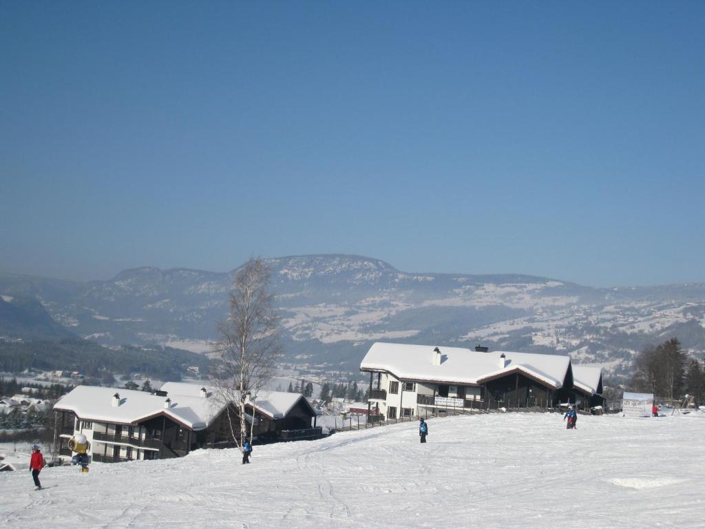 Surrounding environment