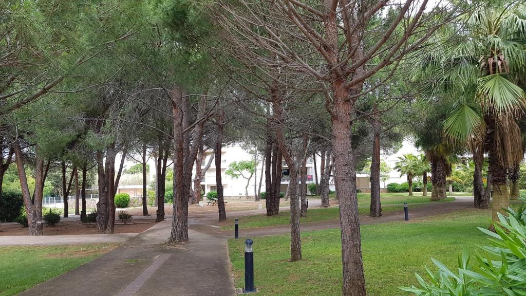Très beau T3 dans résidence avec piscine à 5 min à pied de la plage et commerces - 1
