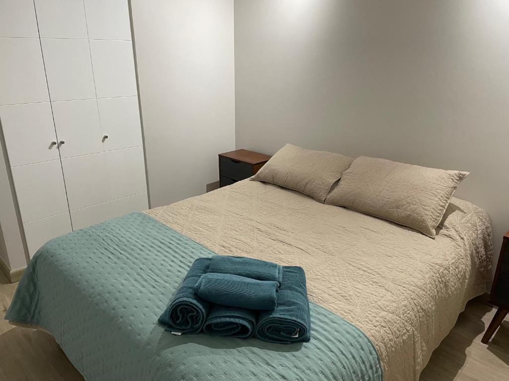 Arriendo departamento Pucón - 4