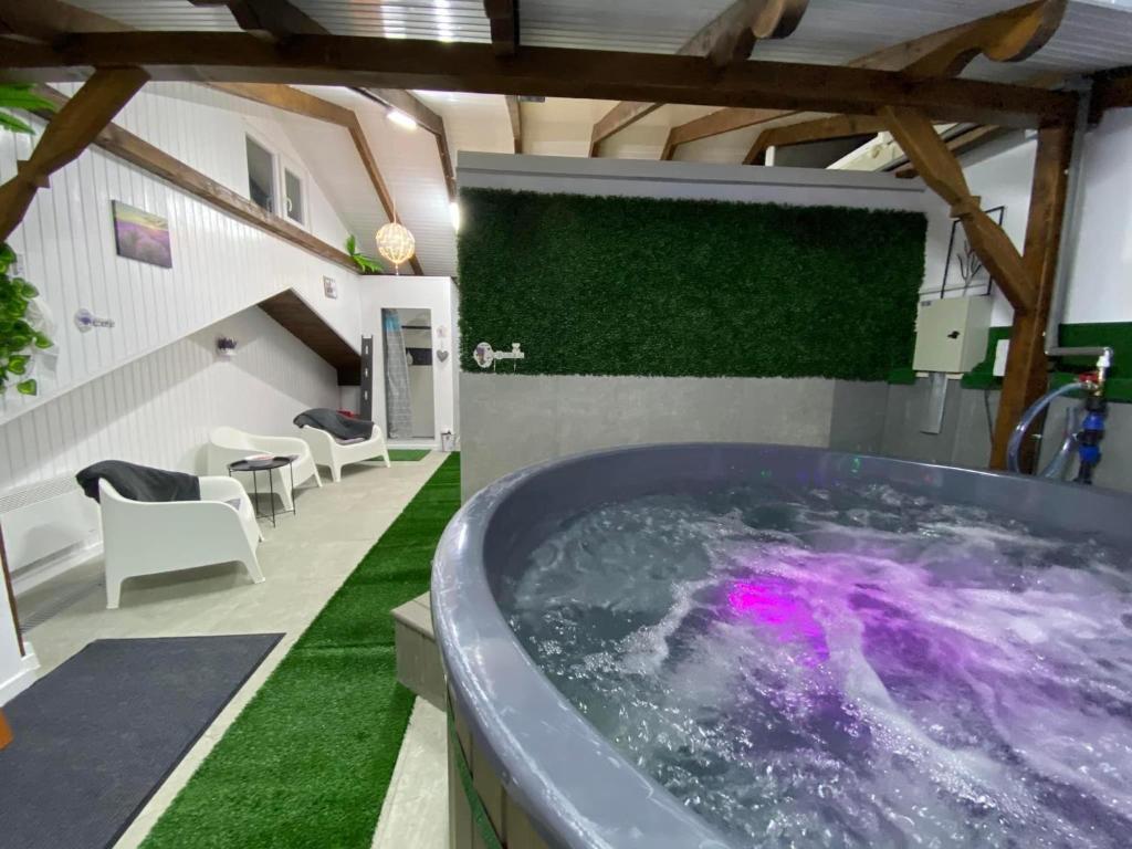 Complex Turistic Dávid, Boghiş