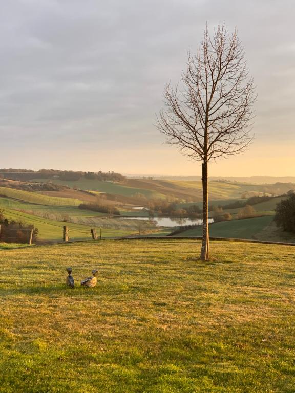 Logement entier de charme, gite équestre GERS Flamarens, Flamarens