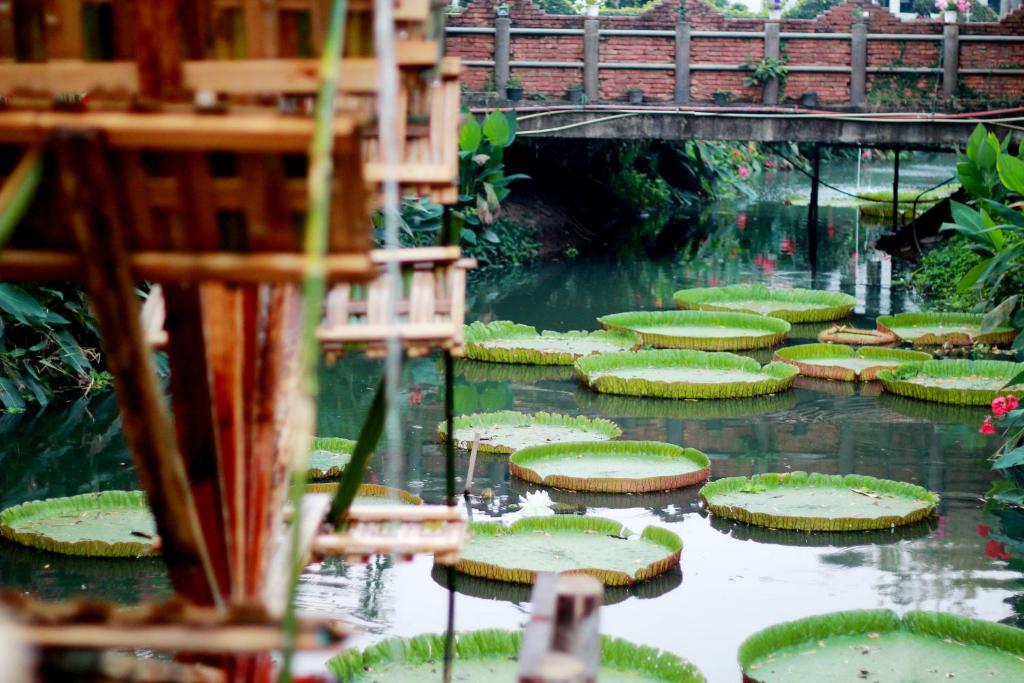 Surrounding environment