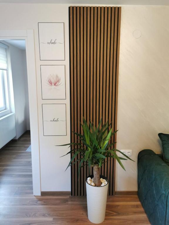 Apartman Bonsai - 4