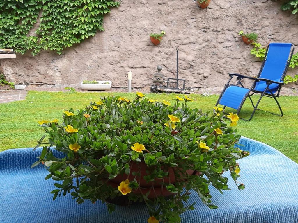 Casa Fornace - 2