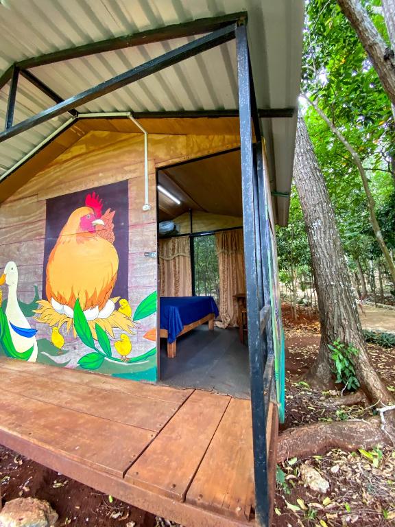 Xkopek, Camping y Cabañas - 2