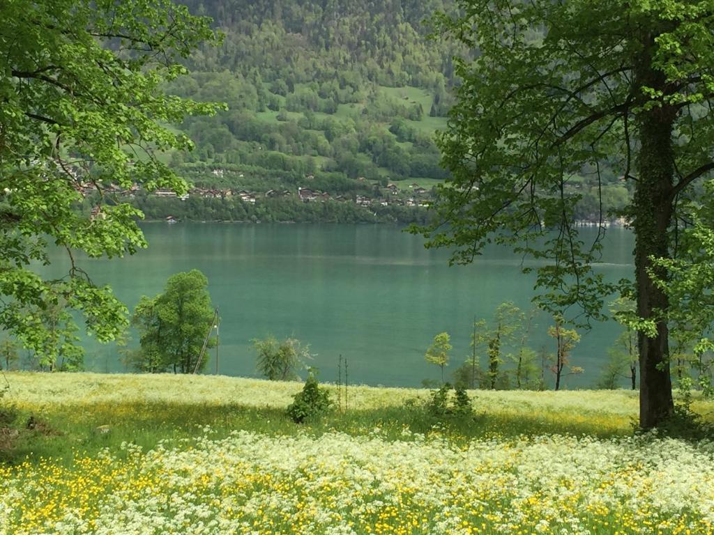 Surrounding environment
