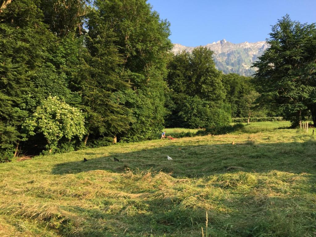 Surrounding environment