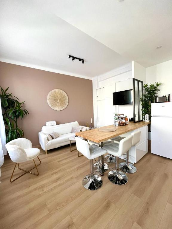 Nice - Appartement T3 rénové de 50 M2 classé 2 étoiles - 1