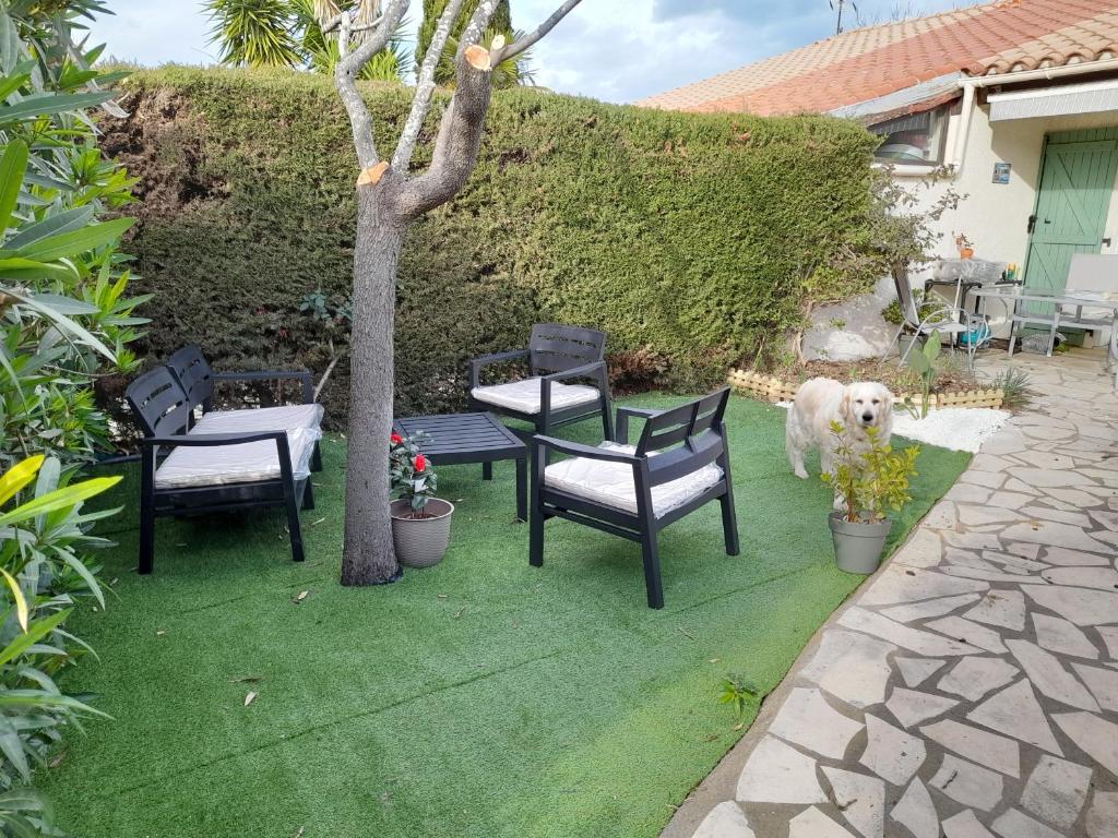 Maison fleurie quartier calme st Cyprien - 3