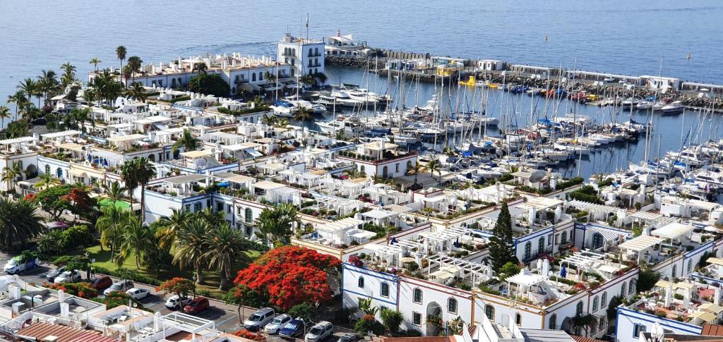 Billy's Puerto de Mogán Apartments by LIVVO - 3