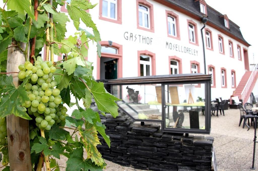 Hotel- Weingut- Moselloreley photo