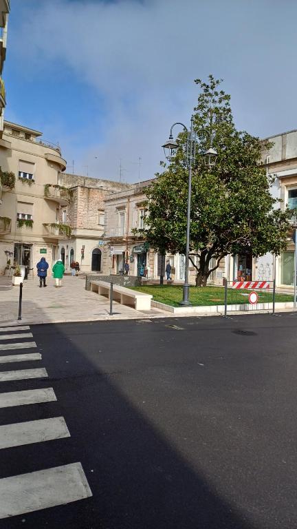 CASADUE - 2