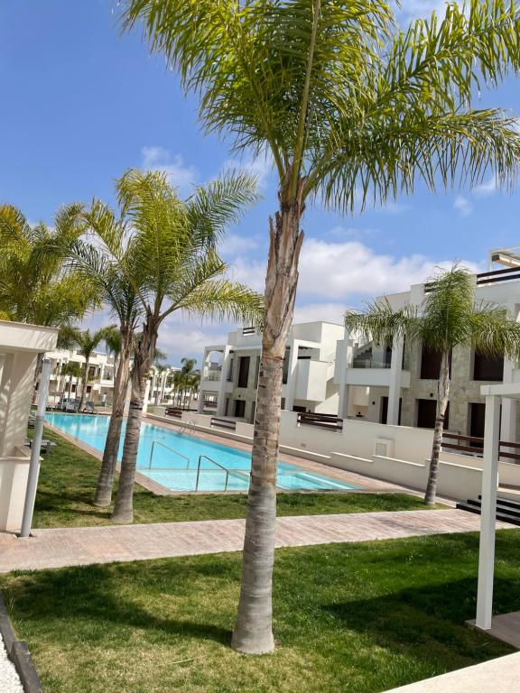 Apartment Los Balcones - Torrevieja - 3