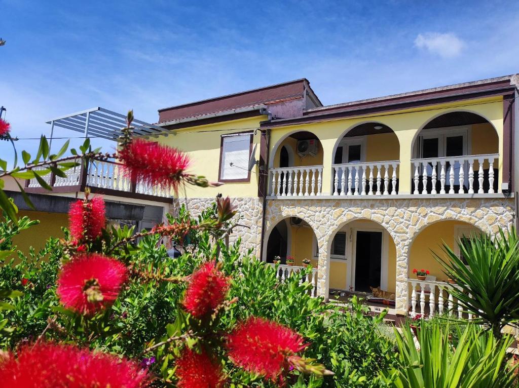 Apartmani Matan Vir, Vir